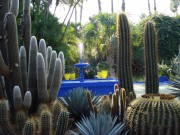 03 - Marrakech  Jardin Majorelle.jpg